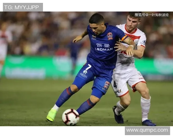 纽喷气机与墨胜利对决前瞻及比分预测分析助你赢得竞猜